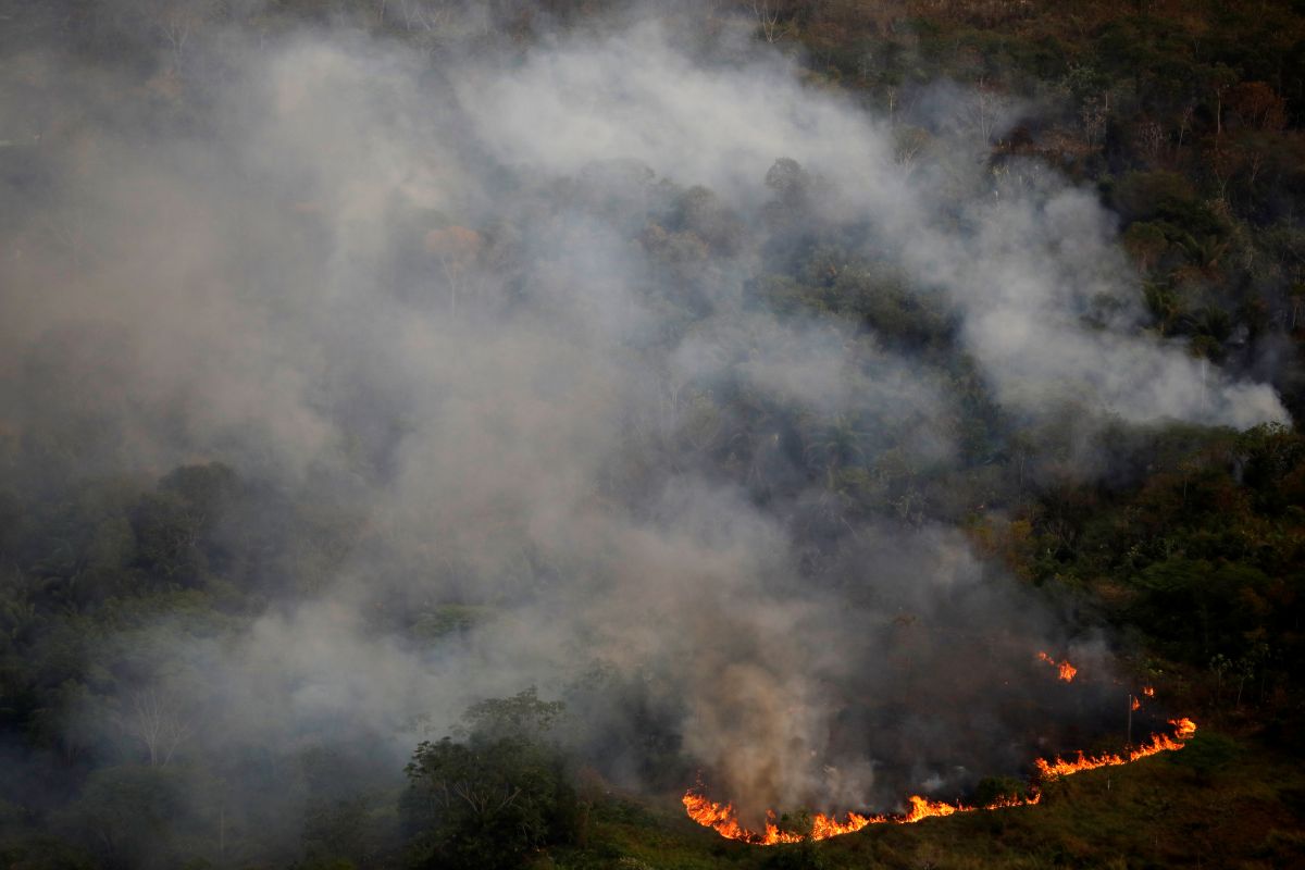 Cegah deforestasi,  Brazil luncurkan operasi militer di hutan Amazon