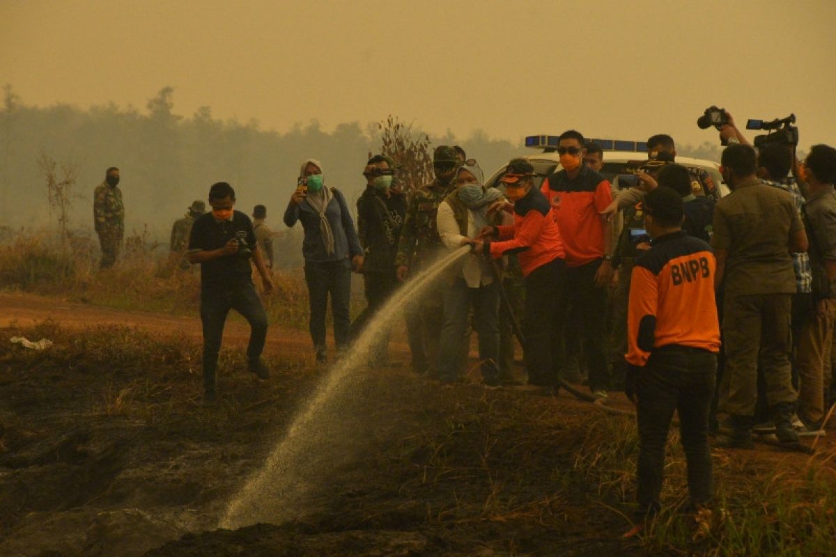 Tinjau karhutla di Kumpeh, Fachrori tegaskan penanganan harus sinergis