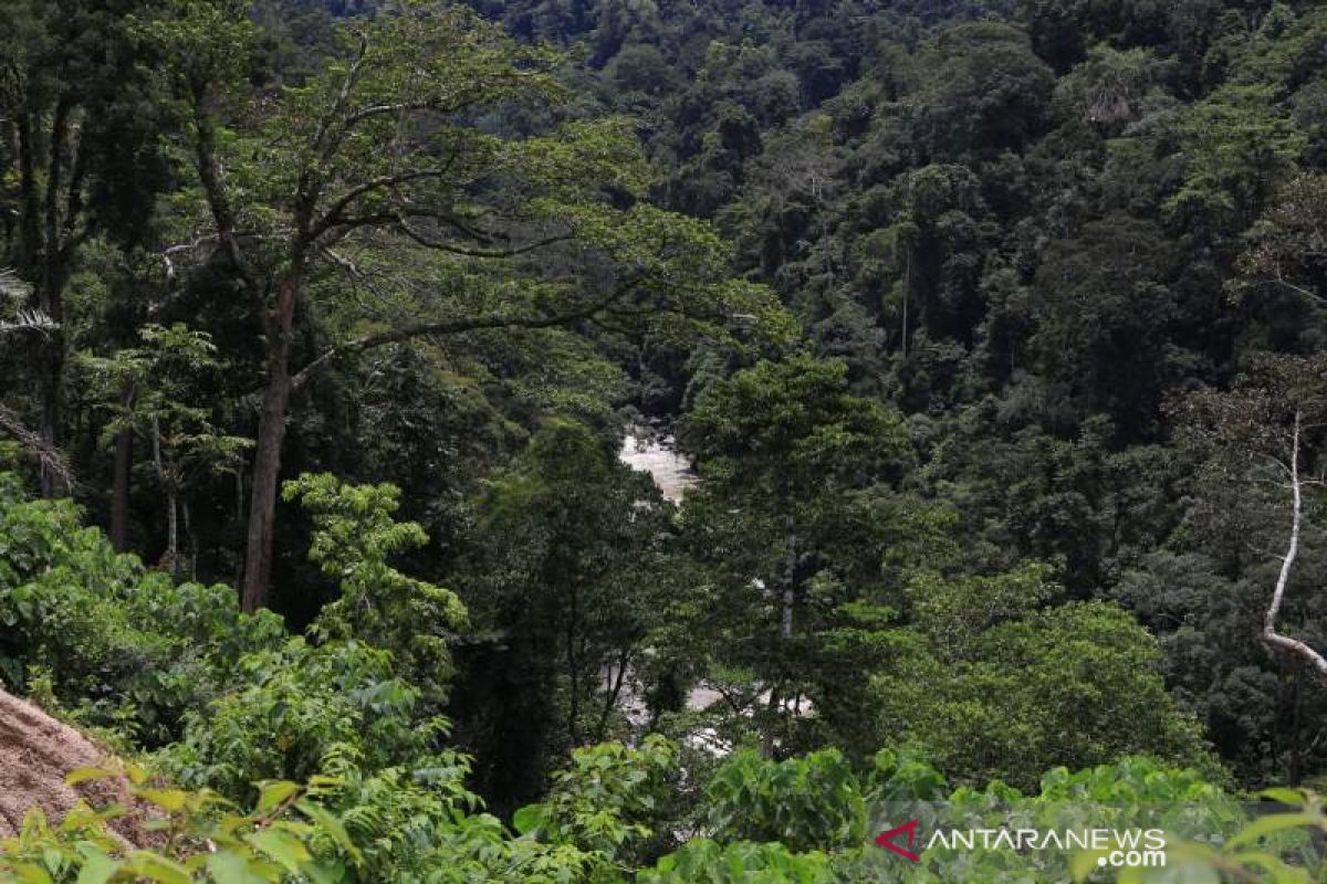 Lindungi bumi, PLTA Batang Toru serukan kurangi emisi karbon