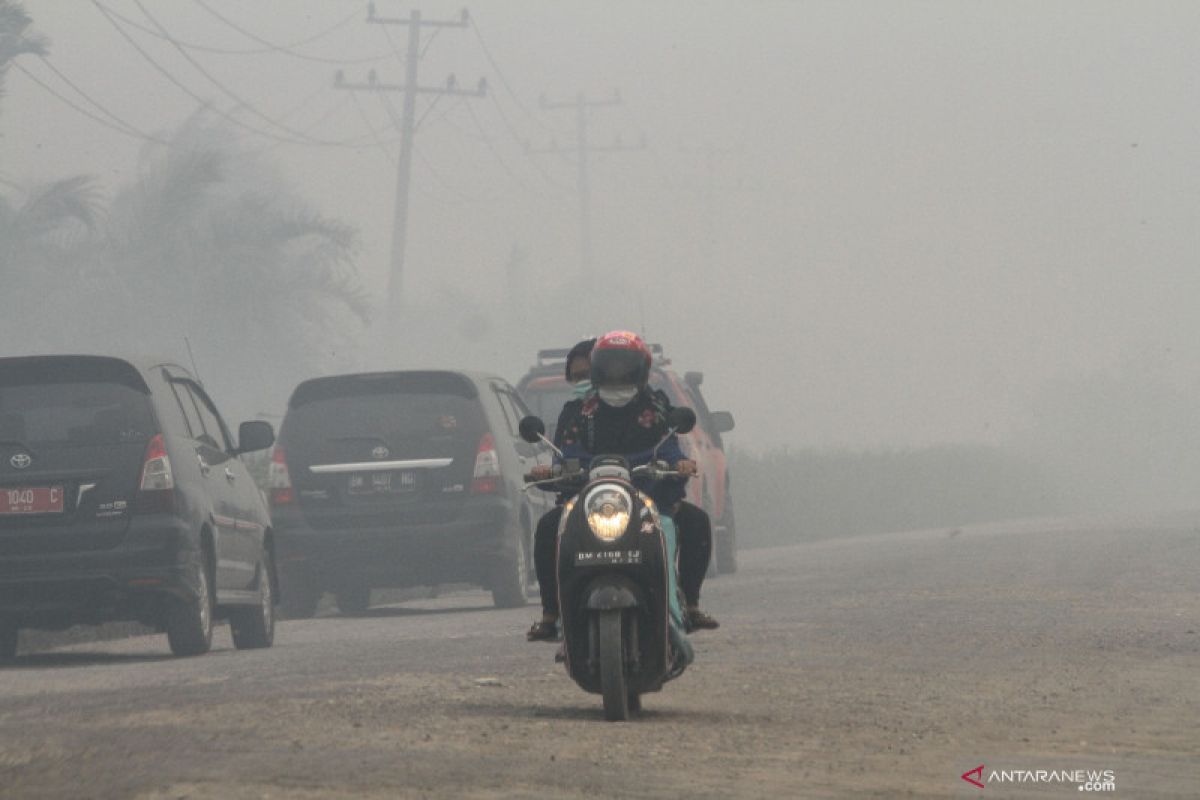 Kabut asap lumpuhkan aktivitas sekolah di Pekanbaru