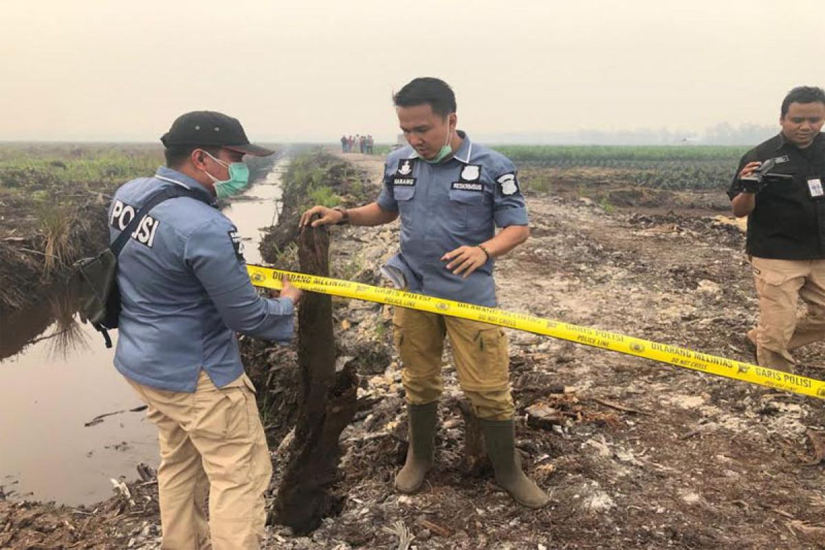 Polisi olah TKP di lahan terbakar milik perusahaan