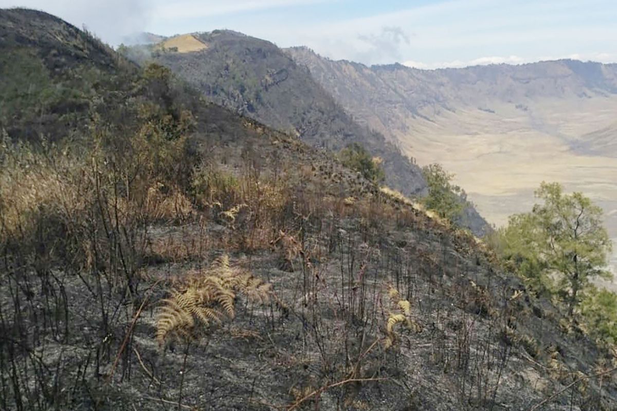Pemadaman kebakaran di jalur pendakian Gunung Semeru terkendala medan sulit