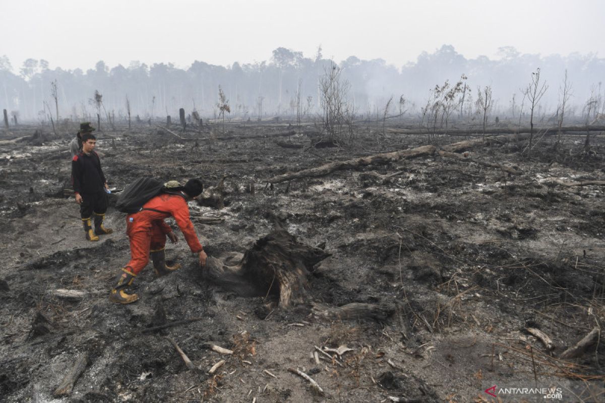 328.724 hektare hutan-lahan terbakar selama Januari-Agustus
