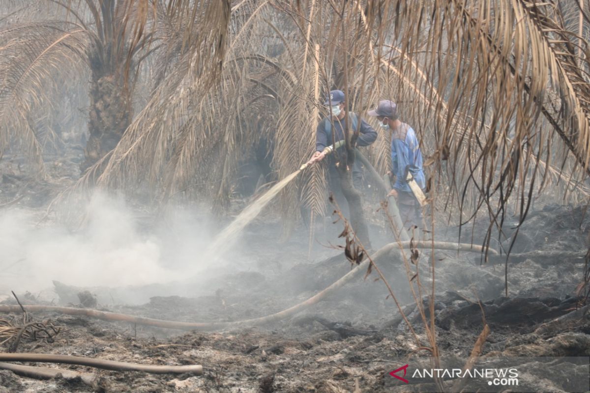 Kebakaran lahan di Sengah Temila-Landak berhasil dipadamkan