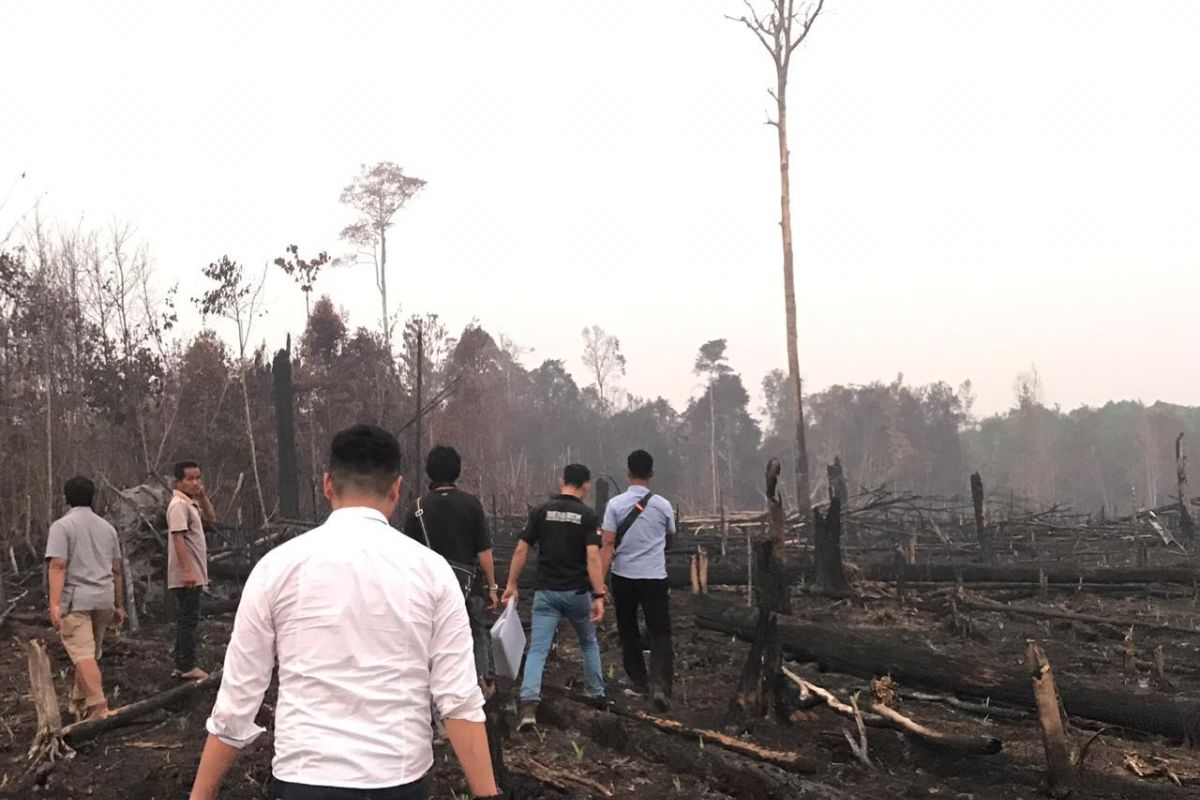 Lahan tiga hektare terbakar, polisi segel dua perusahaan sawit di Kapuas Hulu