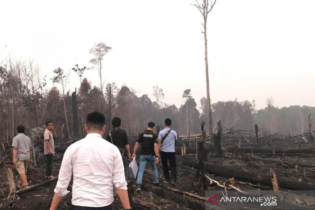 Polisi segel dua perusahaan sawit di Kapuas Hulu