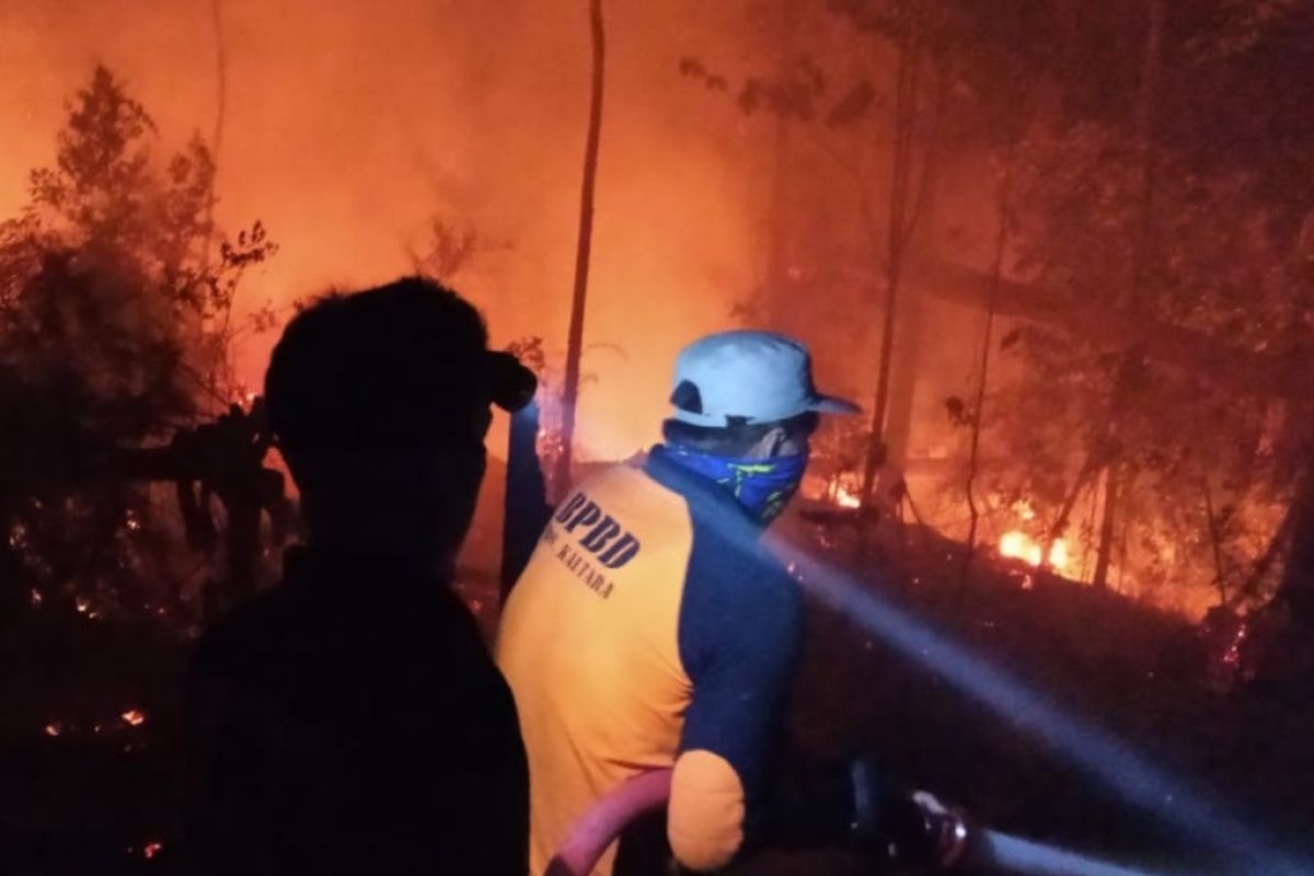 Ditangkap polisi, pelaku pembakaran lahan terancam 5 tahun penjara