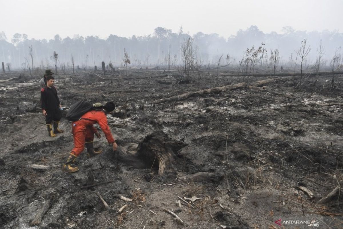 328.724 hektare hutan-lahan yang terbakar selama Januari sampai Agustus 2019