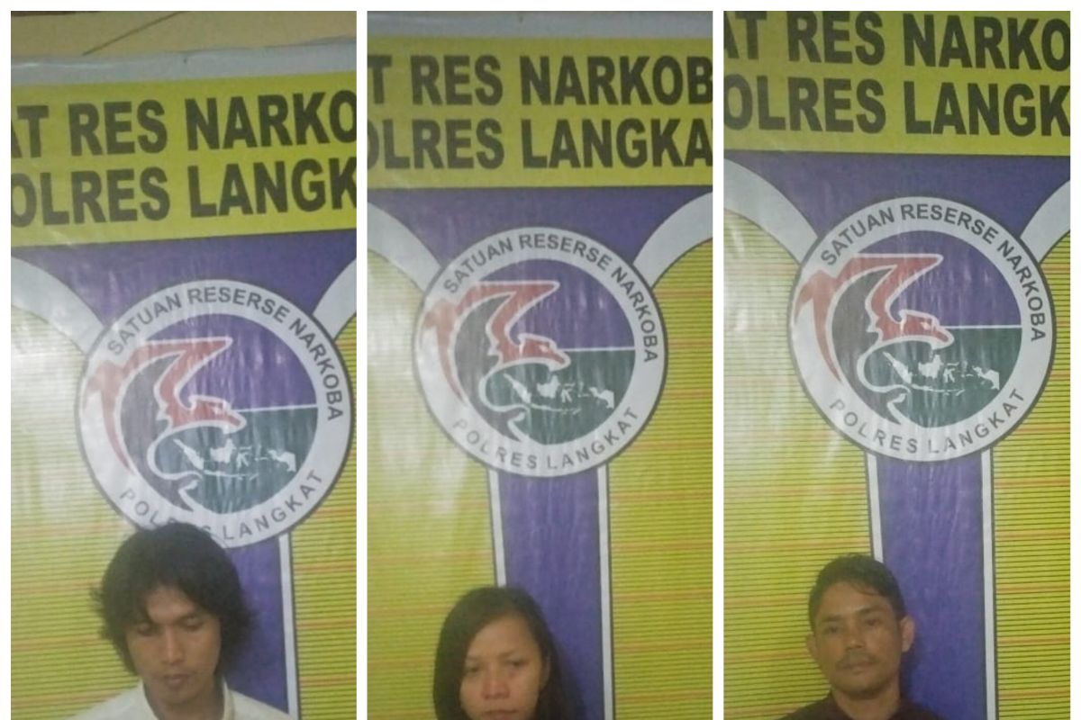 Polres Langkat ringkus tiga pemilik narkotika, satu diantaranya wanita