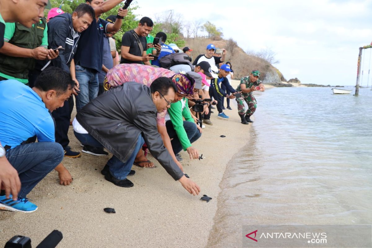 Lepas tukik peringati World Cleanup Day 2019