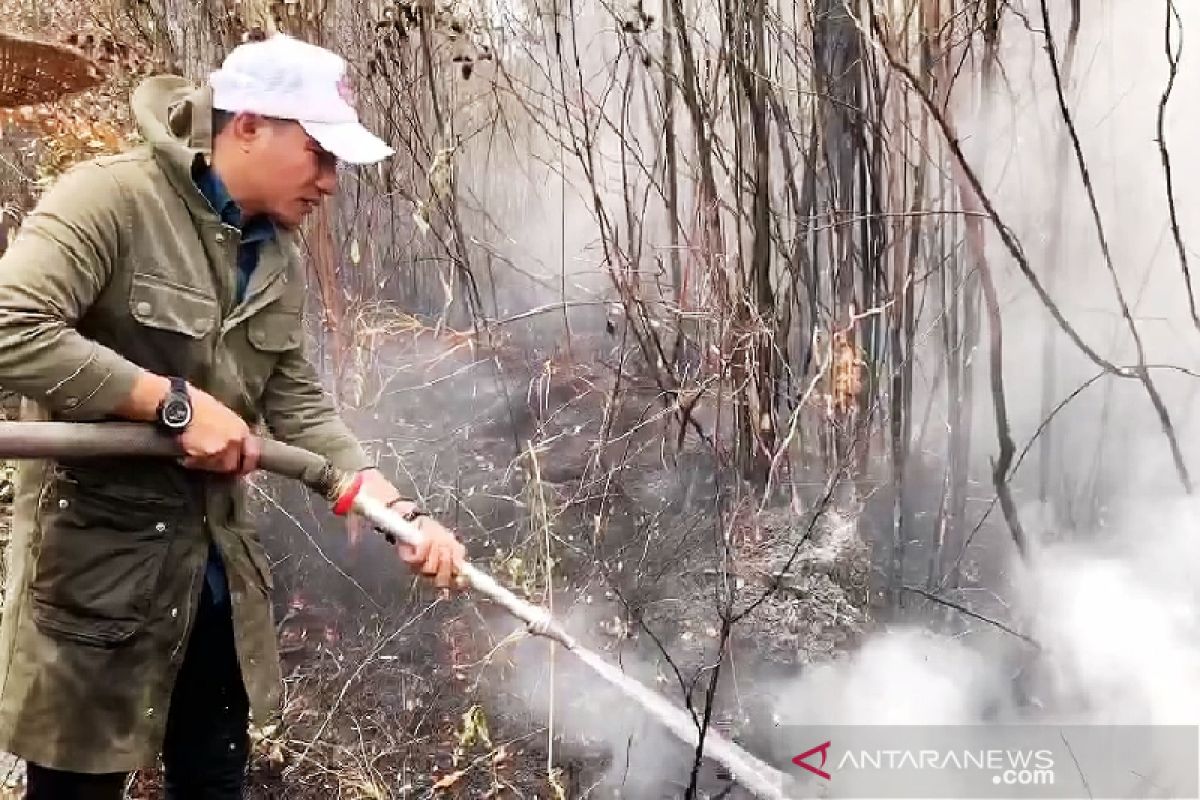 Karhutla sebabkan 50 persen aktivitas ekonomi terganggu, kata Bupati Kotim