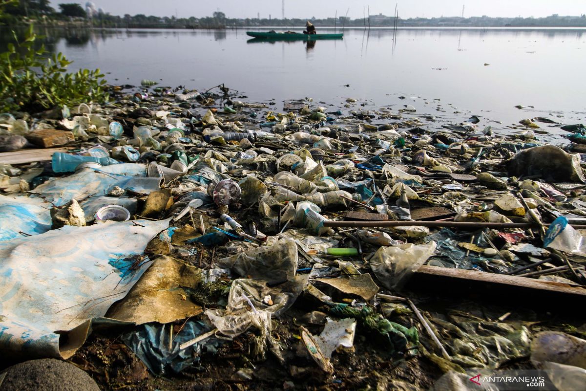 Penelitian : Mikroplastik terdapat di ikan hingga bir