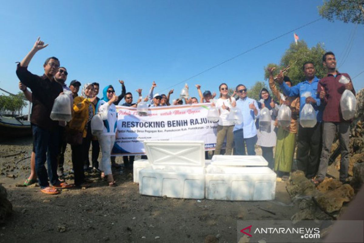 250 ribu benih rajungan dikembalikan di alam perairan Pamekasan