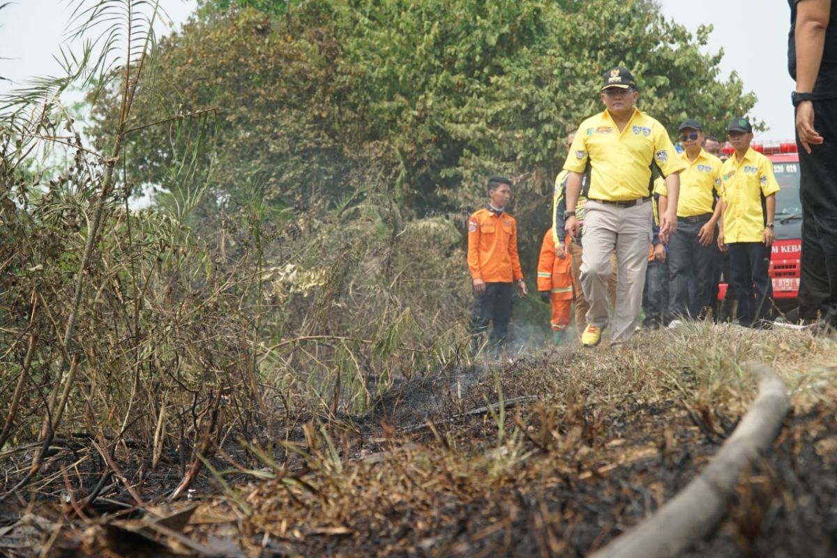 Four people named suspects in land and forest fires in S Sumatra