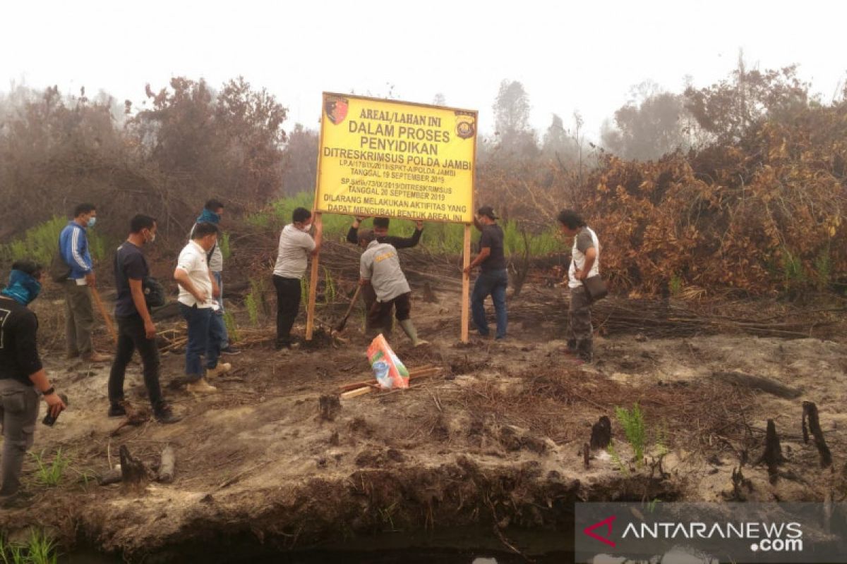 Polda Jambi garis polisi lahan PT MAS yang terbakar