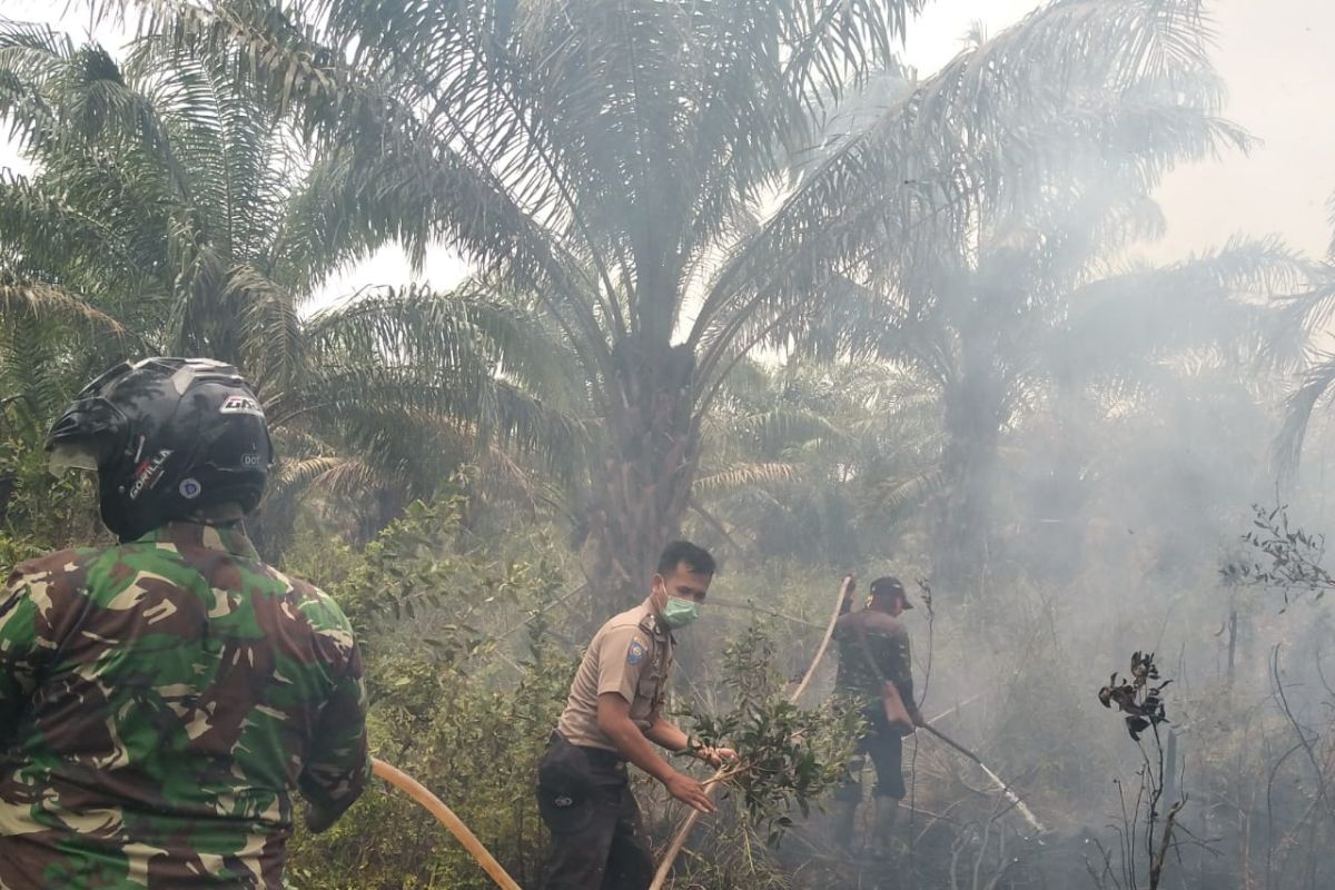 Kebakaran hebat landa perkebunan, polisi ikut padamkan  kobaran api