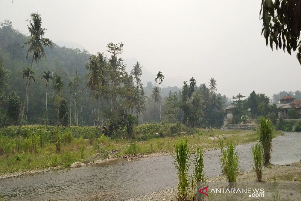 Petani cabai terancam gagal panen akibat kabut asap