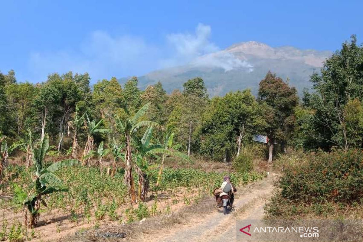 Hutan Gunung Sumbing terbakar lagi