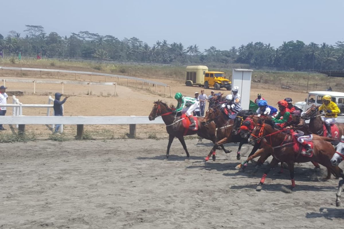 Sulut loloskan 15 kuda pacu ke Final Kejurnas seri II