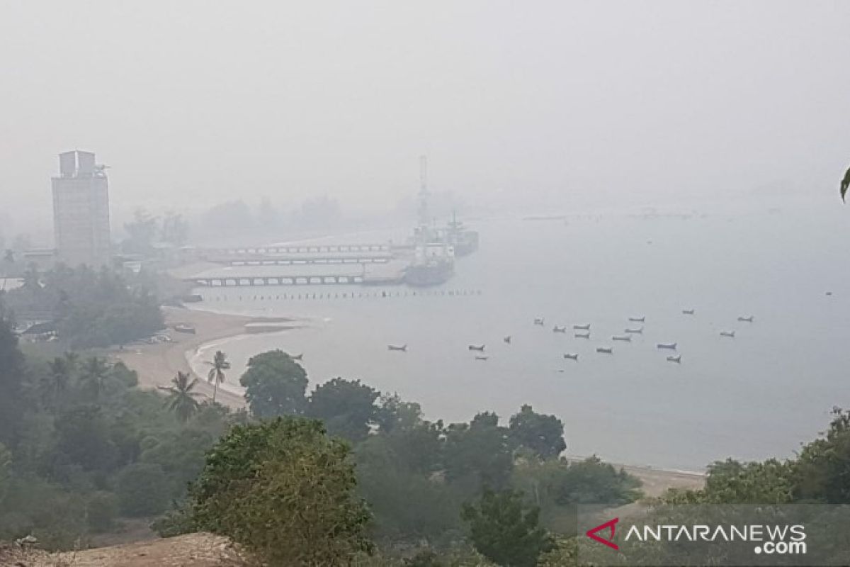Warga Langsa-Aceh diminta tak panik  akibat dampak kabut asap