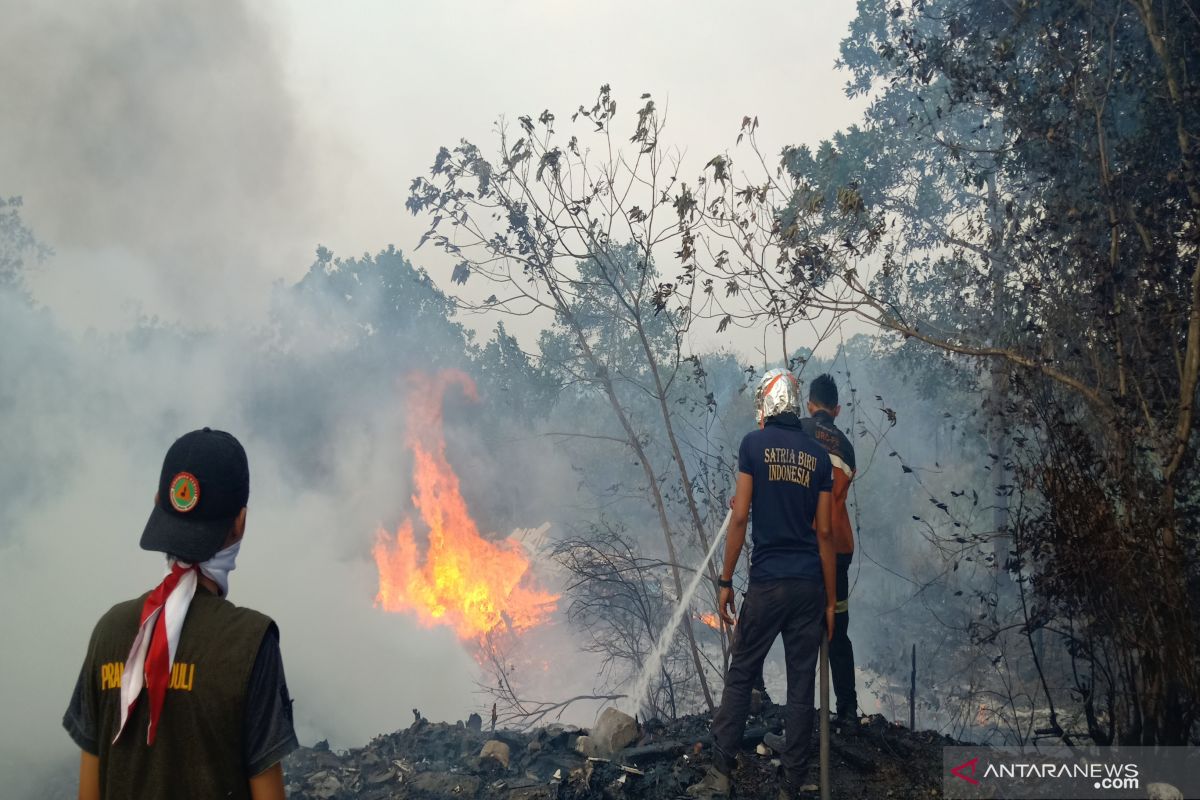 Kebakaran lahan di Kalsel mendekati landasan pacu Bandara Syamsudin Noor