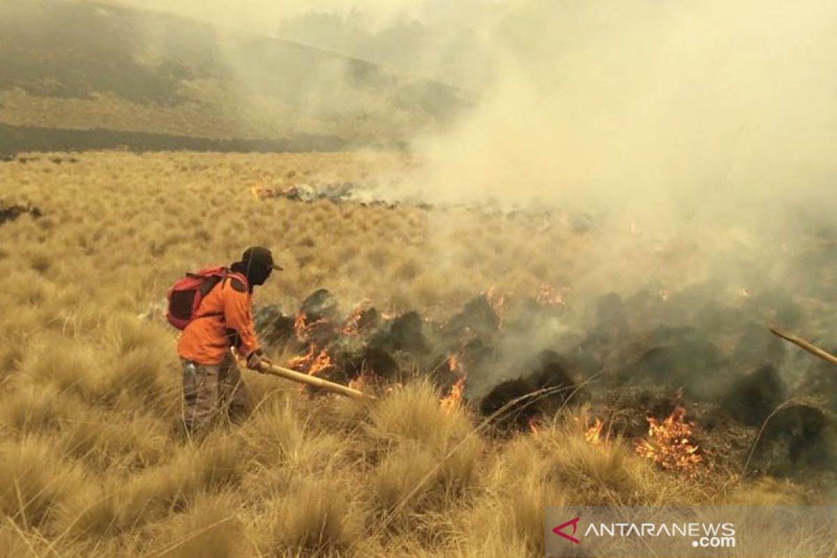 Kebakaran hutan di Gunung Semeru tersisa 2 titik api