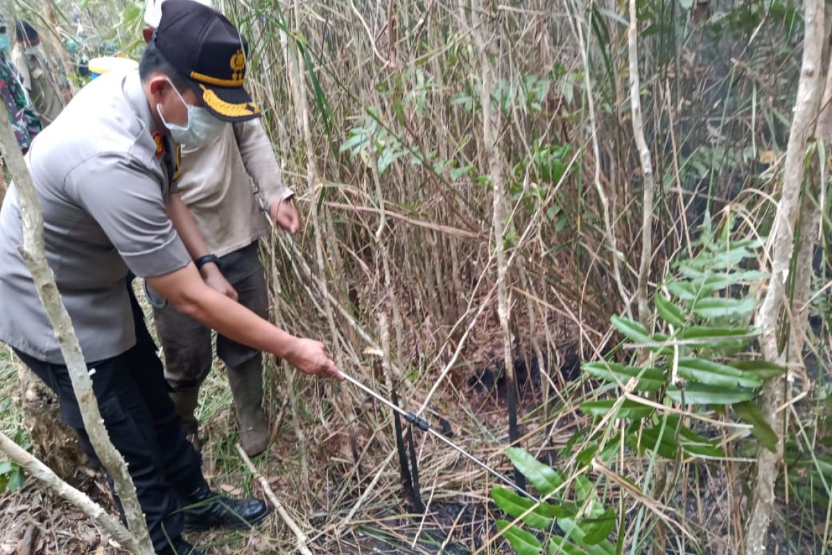 Satgas Karhutla Bangka temukan titik api penyebab kebakaran