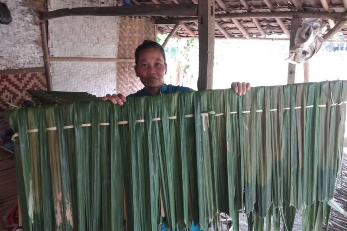 Perajin atap rumbia di Lebak butuh modal