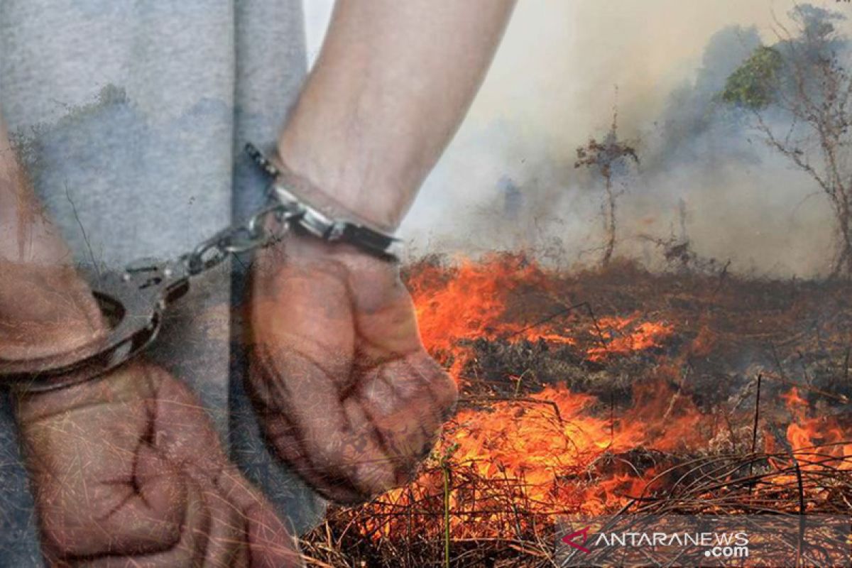 Kakek 75 tahun ditangkap polisi sebagai tersangka pembakar lahan Pekanbaru