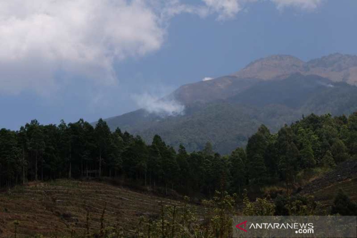 5,5 hektare lahan hutan lereng Gunung Sumbing terbakar