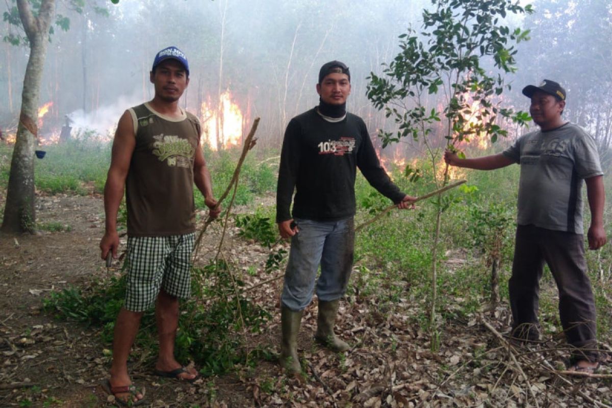 DPKP Ogan Komering Ulu  catat 35 titik Karhutla