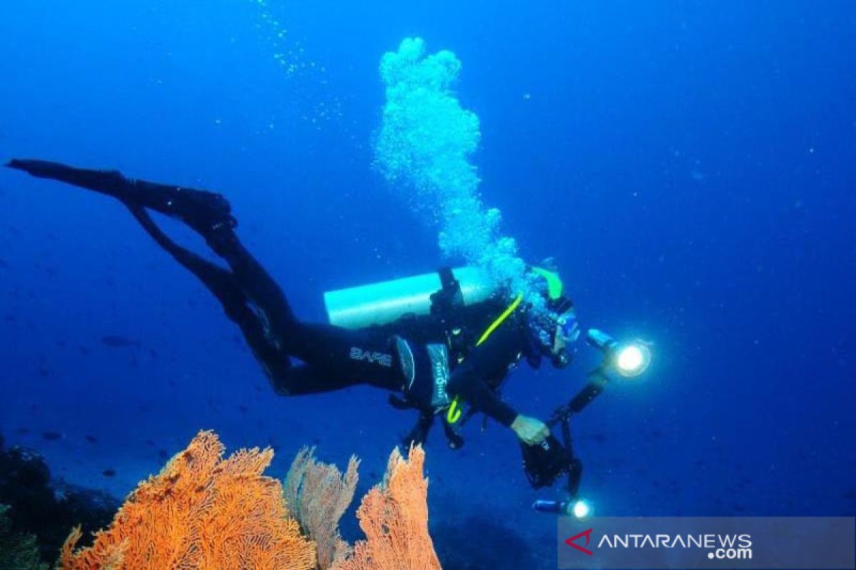 Sabang gelar Internasional Freediving Competition dongkrak wisatawan