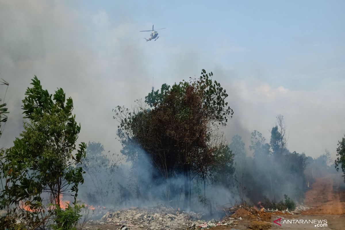 Bupati Majene minta kebakaran hutan dan lahan diusut