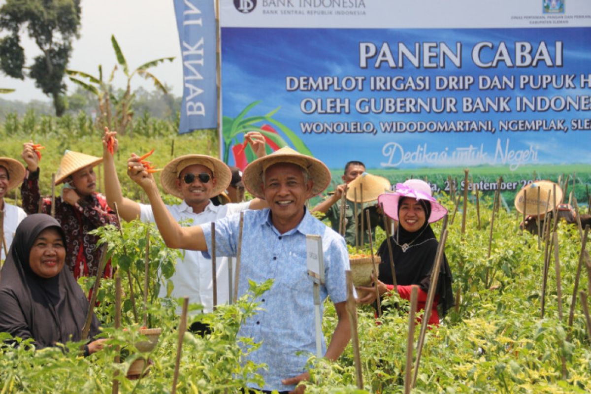 DP3 Sleman mendorong petani terapkan sistem irigasi drip