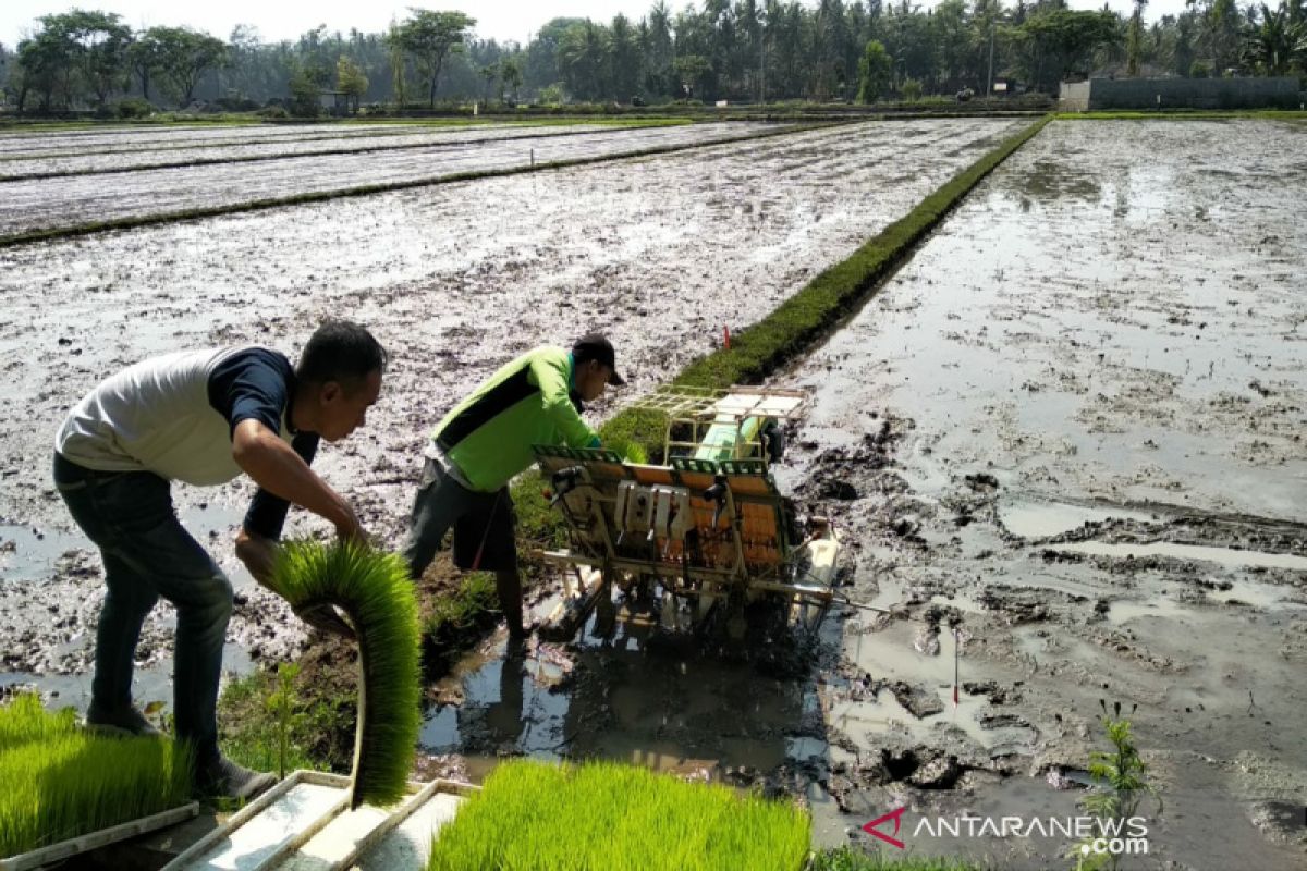 Dinas Pertanian Gunung Kidul imbau petani segera olah lahan