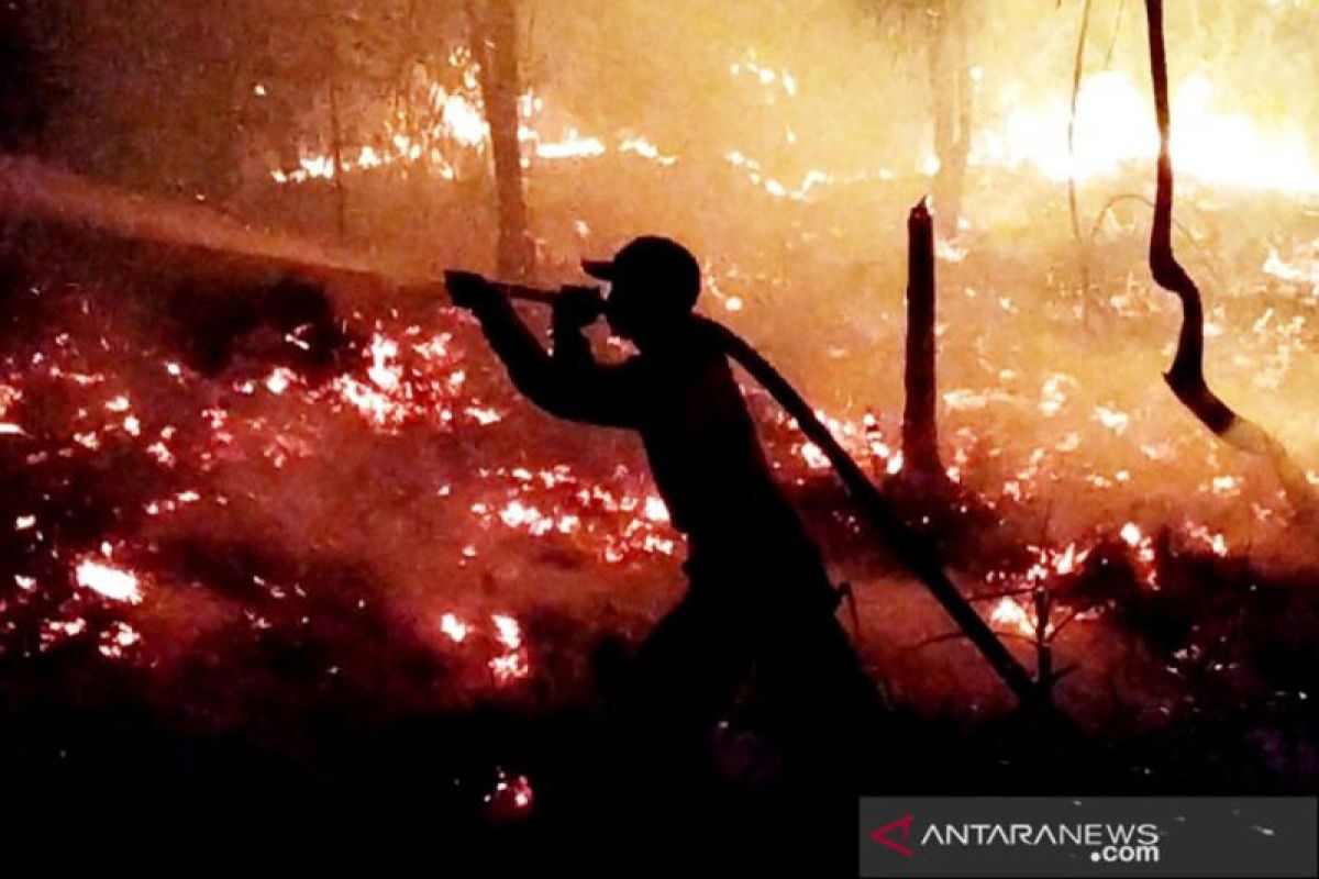 Sudah 800 hektare lahan terbakar di Kotawaringin Timur