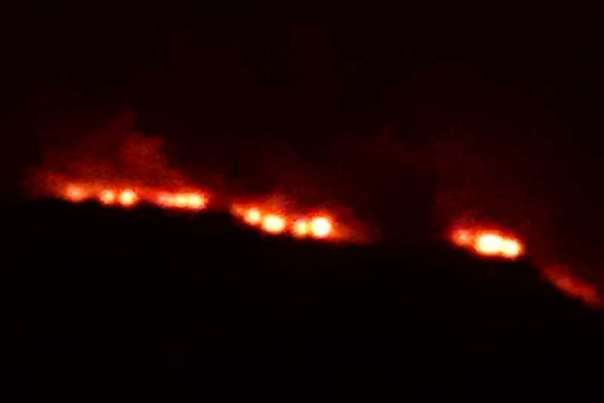 Kawasan hutan lereng Sindoro Wonosobo terbakar