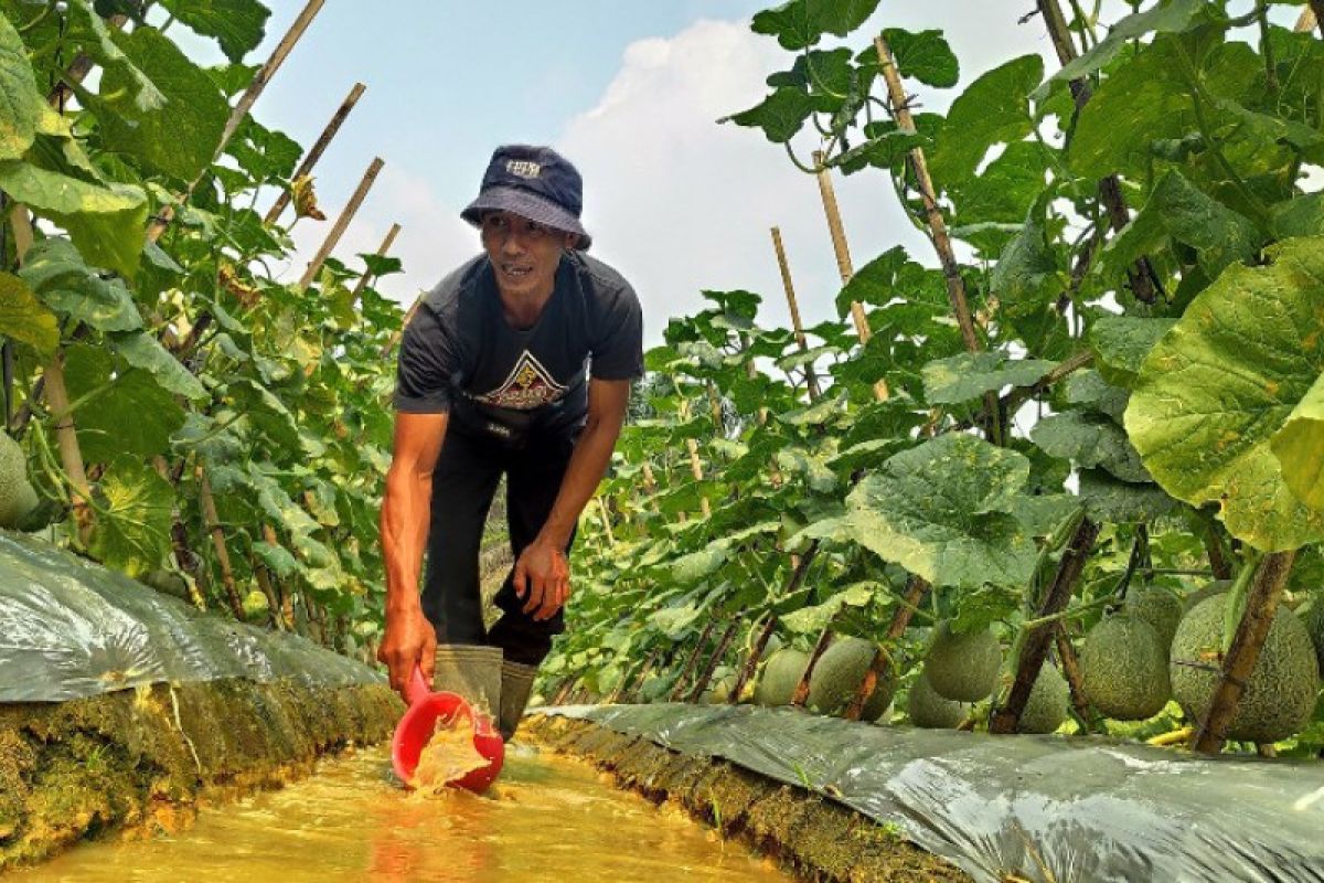 Desa Sungai Keruh, larangan merokok hingga agrowisata dorong kualitas hidup dan cegah kebakaran