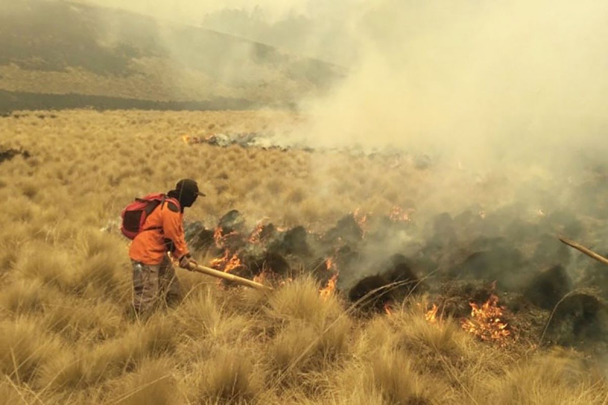 Titik api kebakaran di Gunung Semeru bertambah