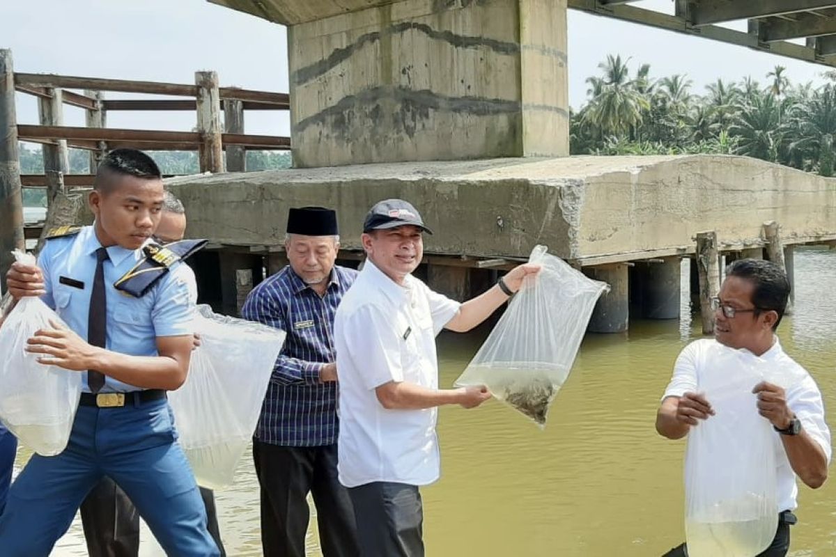 Udang galah jadi komoditas unggulan di  Aceh Tamiang