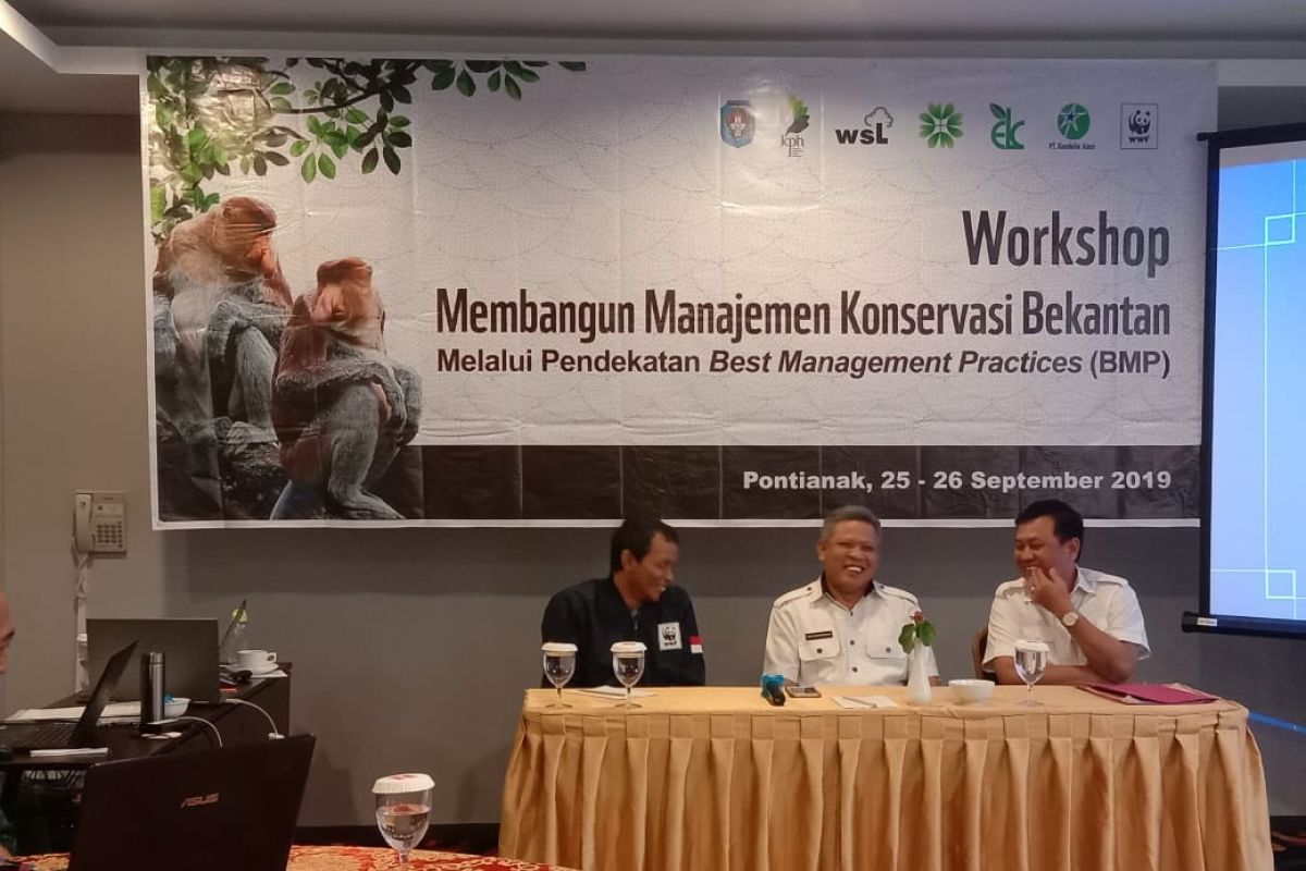 Pemkab Kubu Raya kawal WWF bangun manajemen konservasi Bekantan