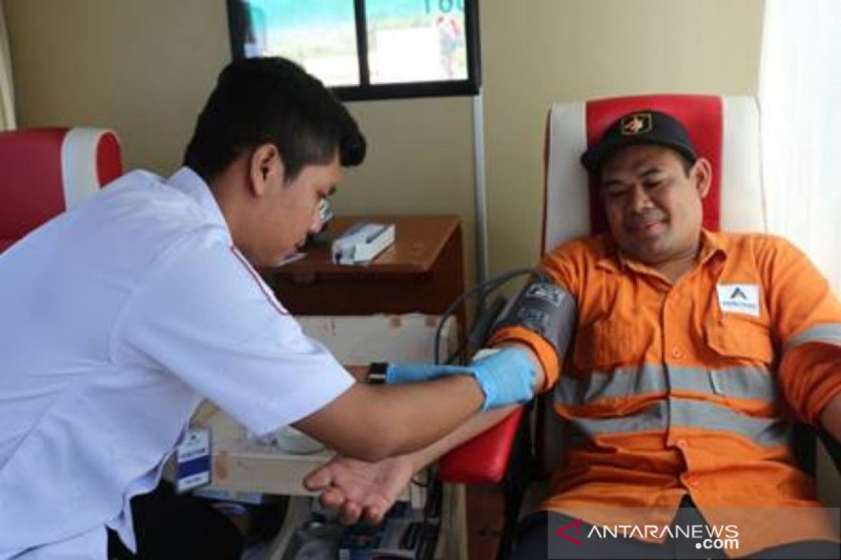 Gelar donor darah, PT Agincourt Resources kumpul 257 kantong