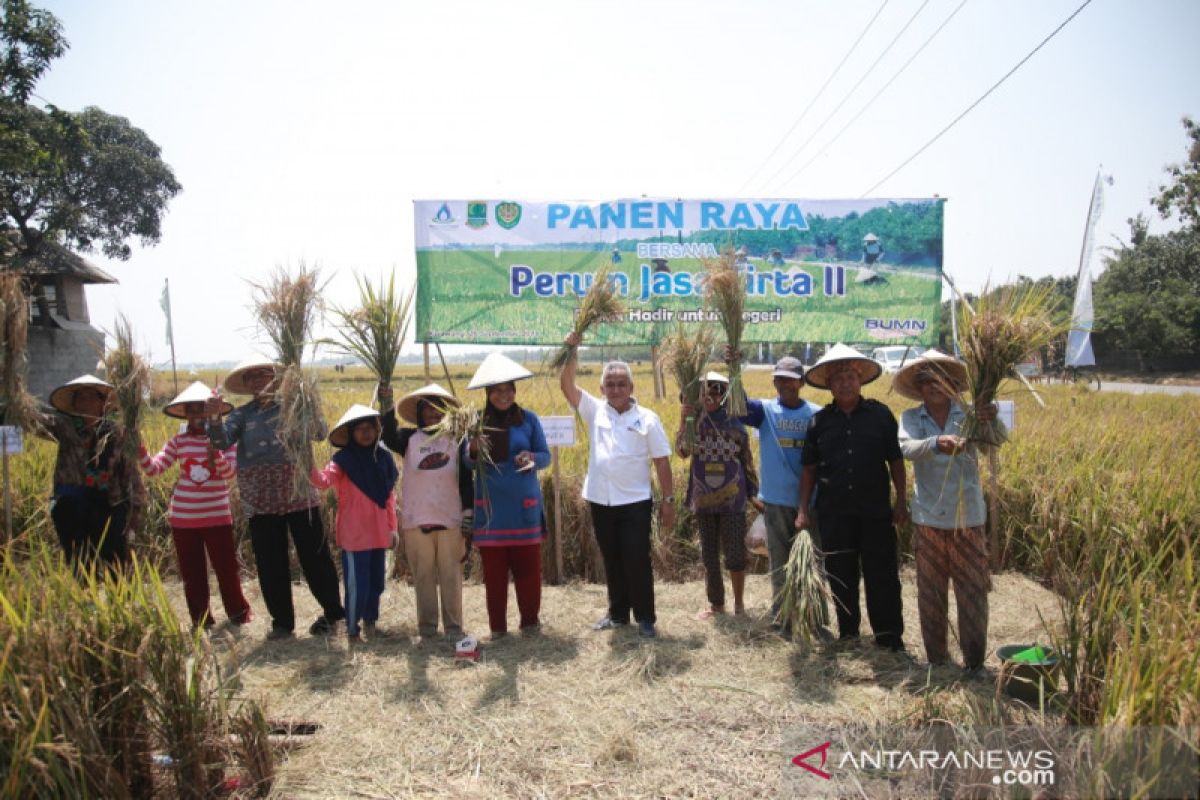 Kemarau, saluran irigasi tetap mengalir ke sawah