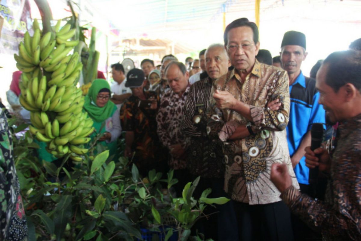 Sultan minta petani organik harus bangun jaringan pemasaran