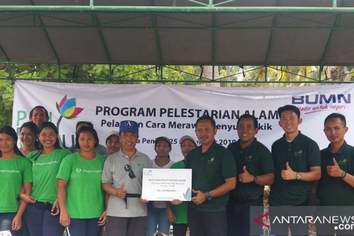 PLN Bali berikan pelatihan perawatan penyu demi pelestarian alam