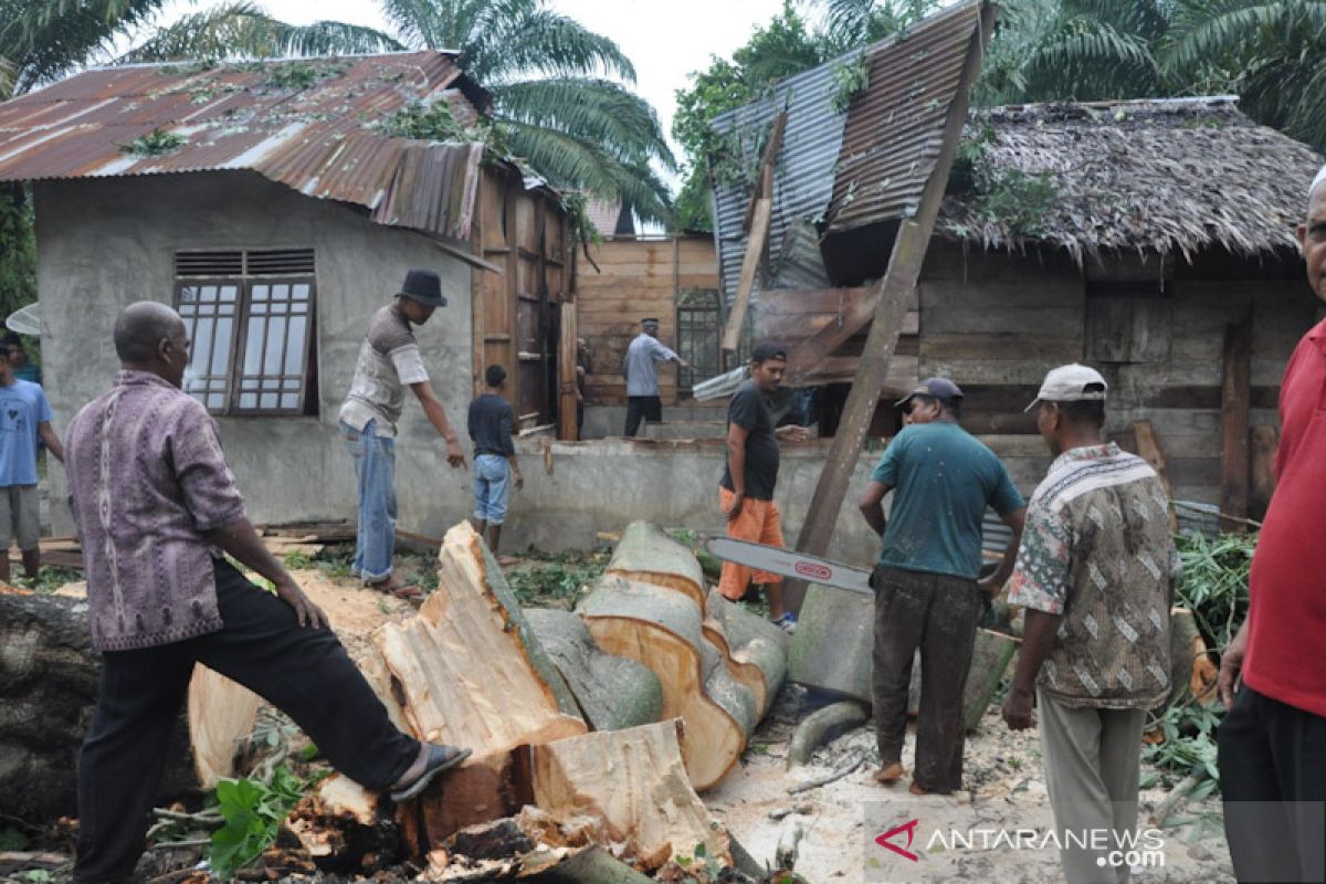 Rumah janda rusak ketimpa pohon kapuk