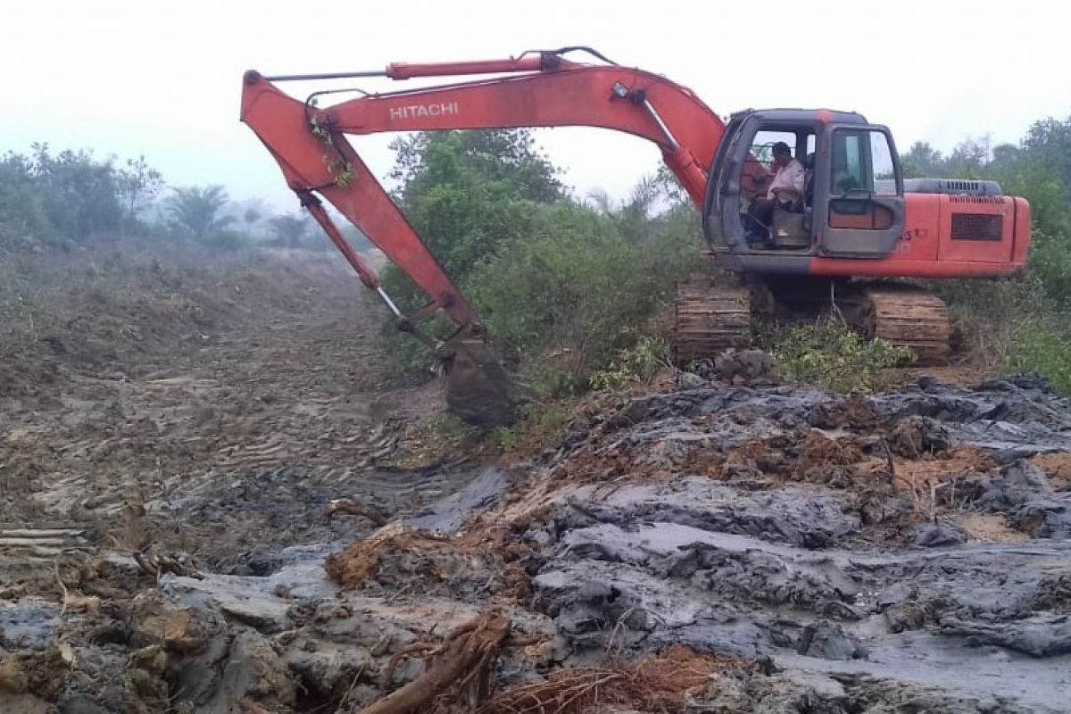 DPKP Aceh Tamiang rehabilitasi 11 tambak di daerah  Pesisir