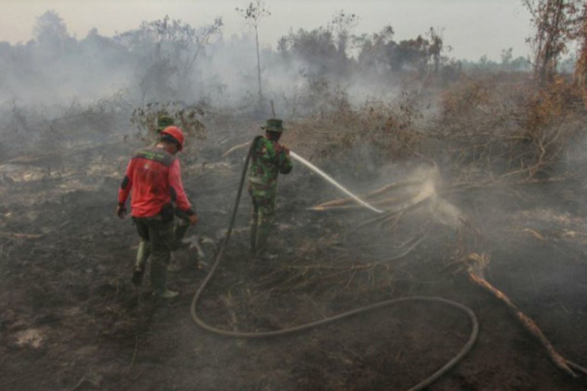 Anggota BPBD Inhil terserang ISPA usai padamkan Karhutla