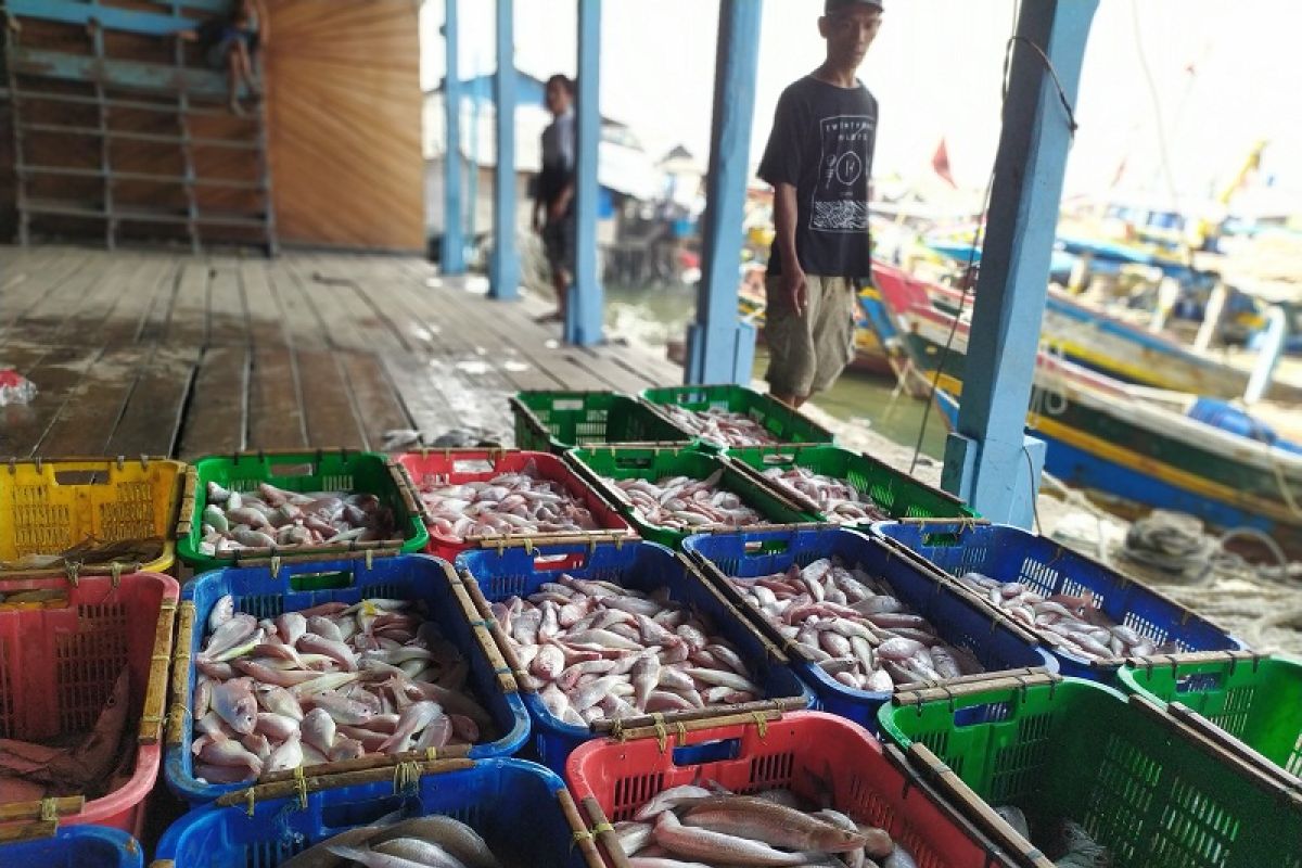 Pedagang ikan keluhkan minat pembeli kurang