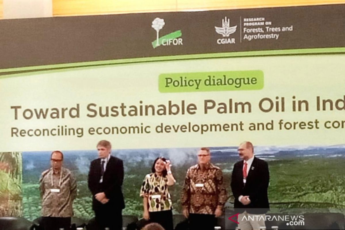 CIFOR nyatakan ISPO jamin sawit Indonesia berkelanjutan